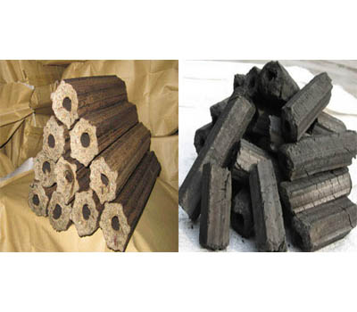 The Potential Market of Briquettes and Charcoal