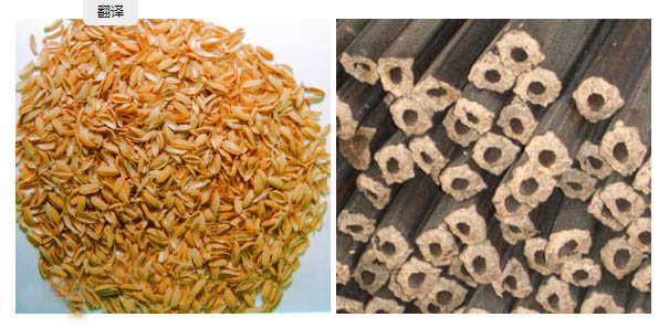 Rice husk and briquettes