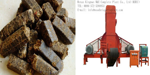 Palm briquettes and briquette machine