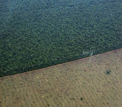 Deforestation of Amazon