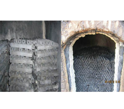 The analysis upon establishment of machine-made charcoal plant